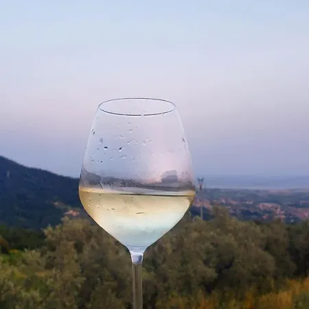 Vinomare