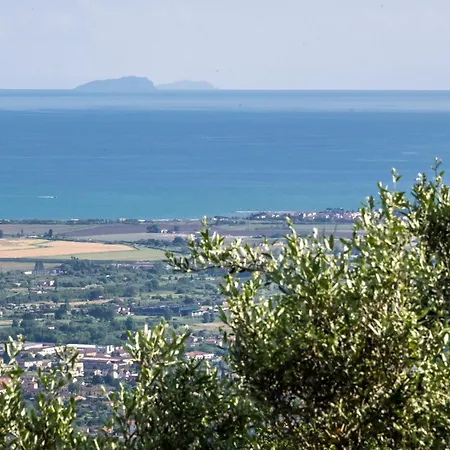 Vinomare 4*